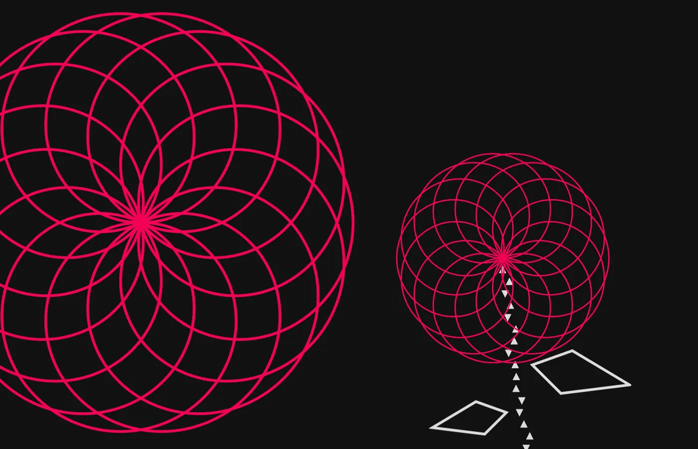 Rose Curve Visualizer